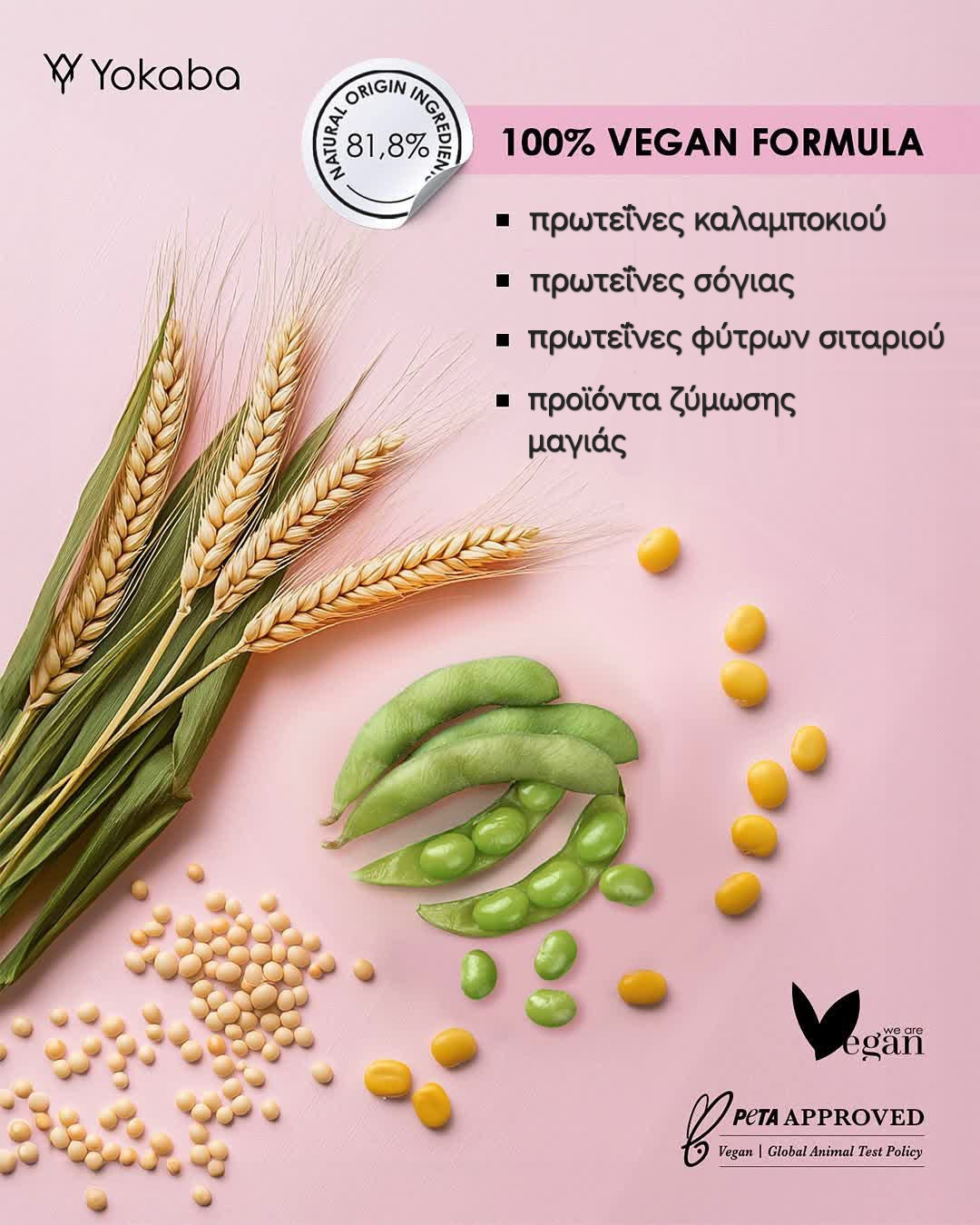 Ενισχυτικό conditioner - PROTEIN CARE NAILS SPA 15ml