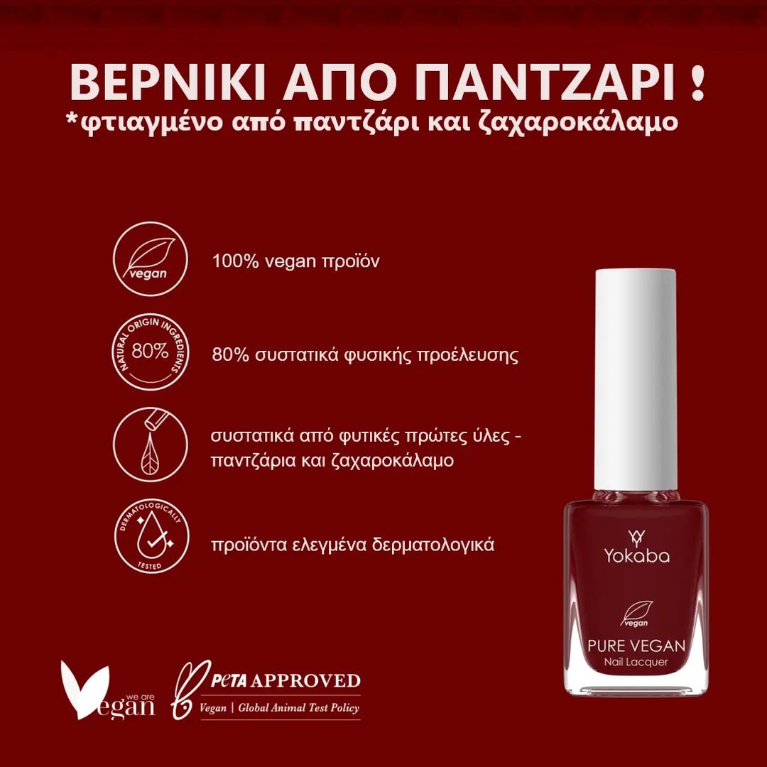 PURE VEGAN Κλασικό Βερνίκι-05 Ash Grey 10ml